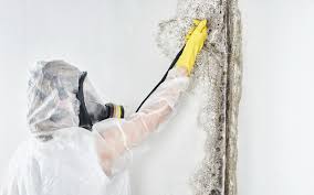 Best Residential Mold Inspection & Testing  in Greene, RI